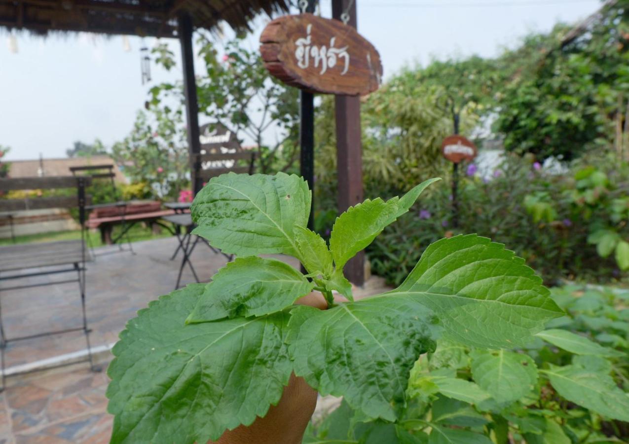 Ayutthaya Garden River Home Ban Bang Krasan Exteriér fotografie